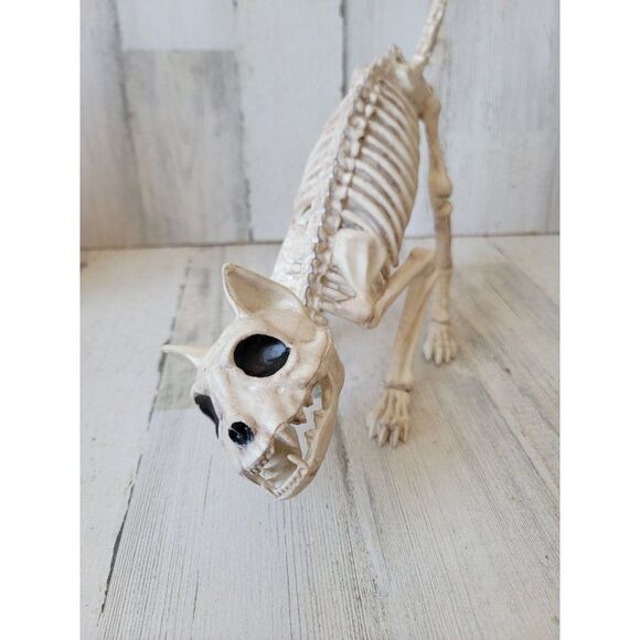 Crazy bonez Seasons cat skeleton Halloween props scary - Picture 2 of 8